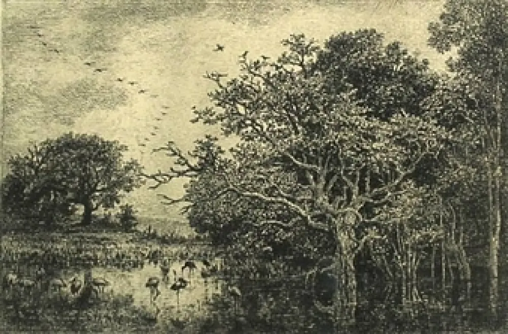 版画 Daubigny - Le marais aux cigognes