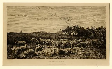 版画 Daubigny - Parc à moutons:  le matin, in 