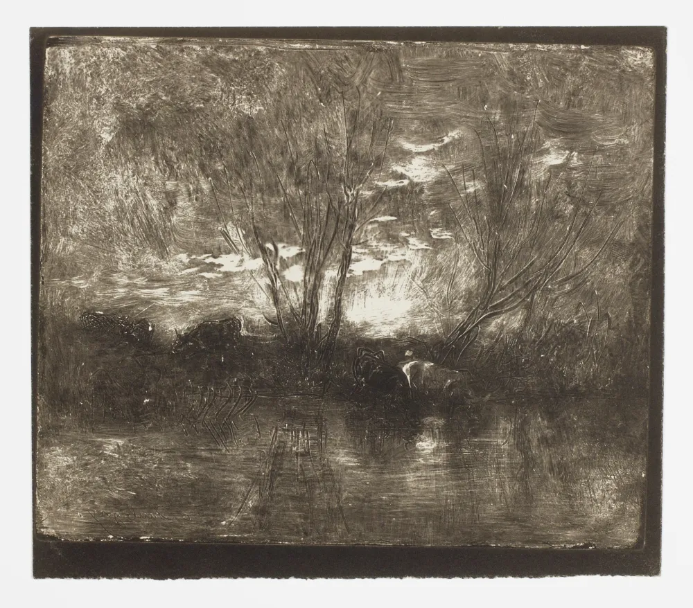 无技术 Daubigny - Vaches à l’Abreuvoir (Cows at a Watering Place)