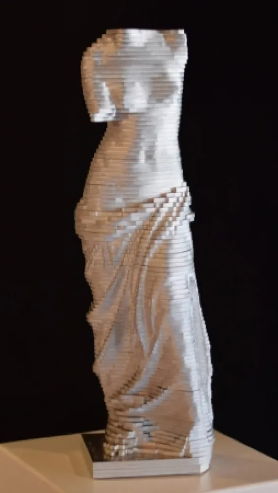 无技术 David - Small Vénus