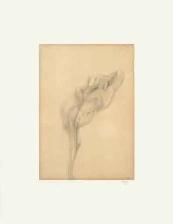 胶版印刷 De Bruyckere - Aanééngenaaid