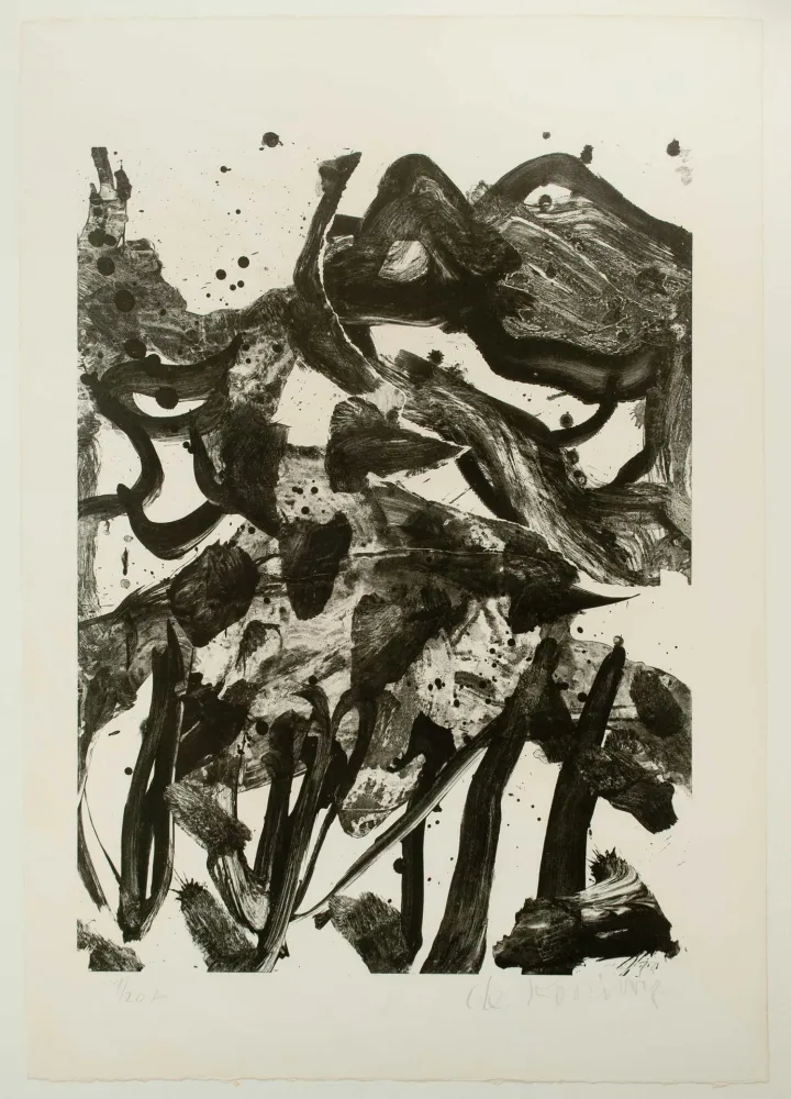 石版画 De Kooning - The Marshes