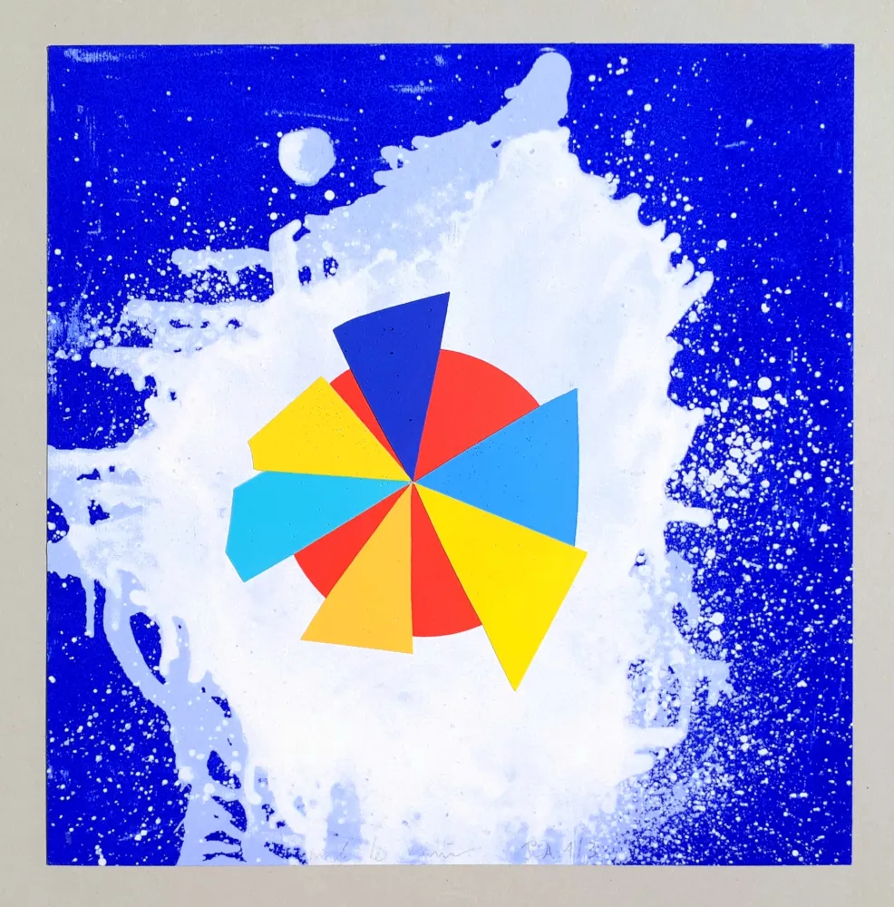 丝网印刷 De Maria - Composizione