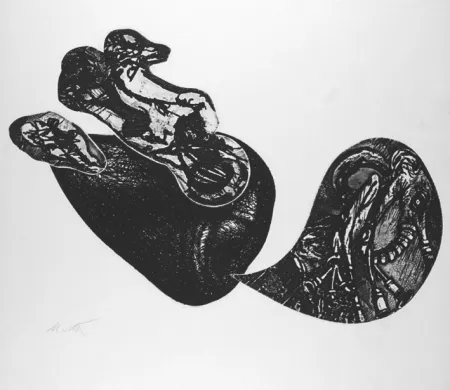 蚀刻版画 De Vita - Le cose che volano II