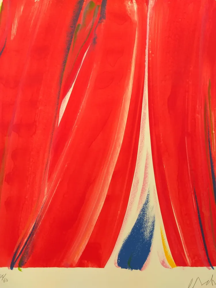 石版画 Debré - 56/60