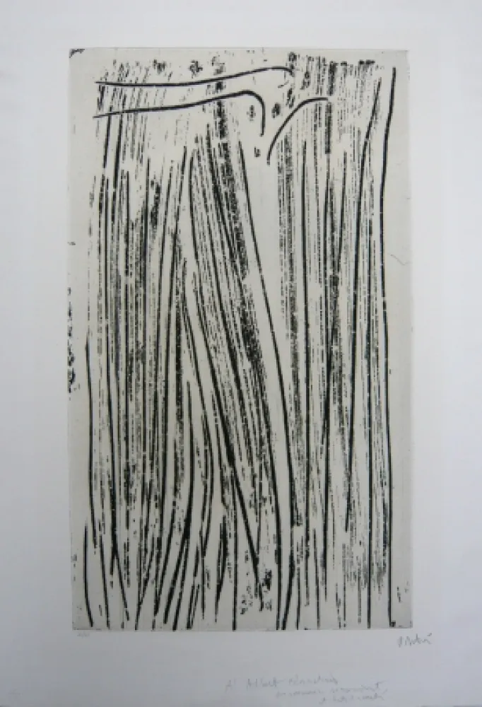 蚀刻飞尘法 Debré - Personnage signe