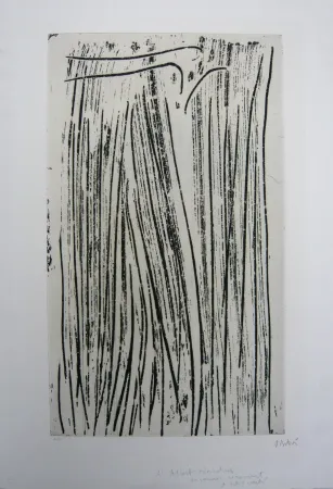 蚀刻飞尘法 Debré - Personnage signe