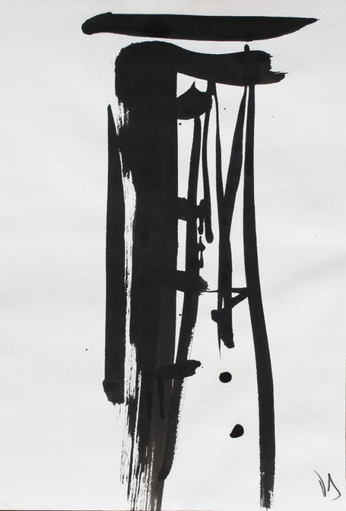 无技术 Debré - Signe 1