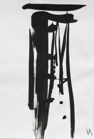 无技术 Debré - Signe 1