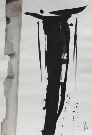 无技术 Debré - Signe 2