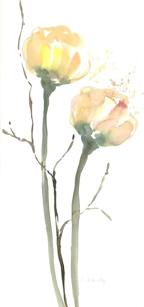 无技术 Decker-Kern - Blüten