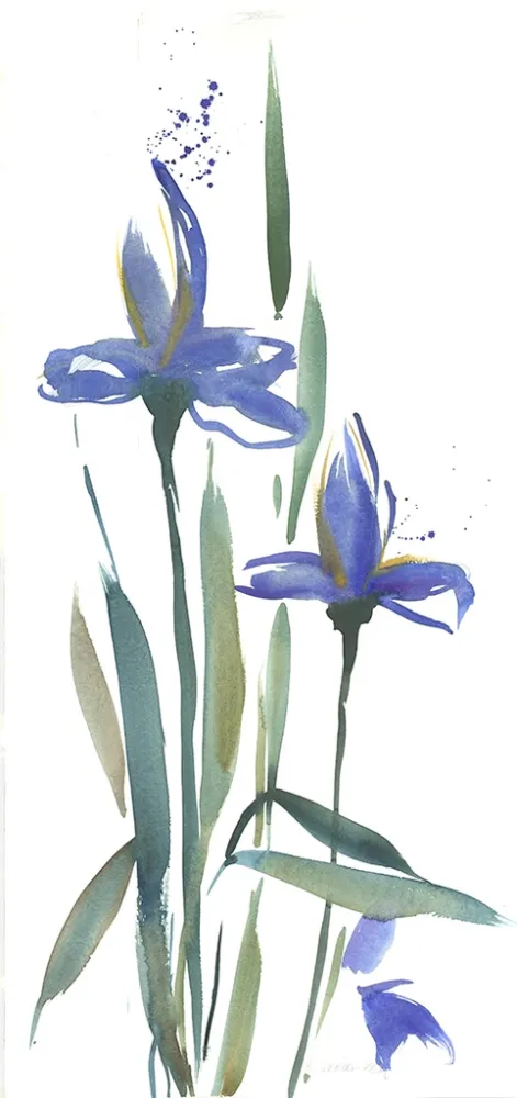 无技术 Decker-Kern - Iris