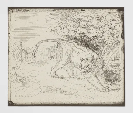 无技术 Delacroix - Le tigre en arrêt (A trapped tiger, also: 'Tiger at bay' or 'Tiger at a standstill')