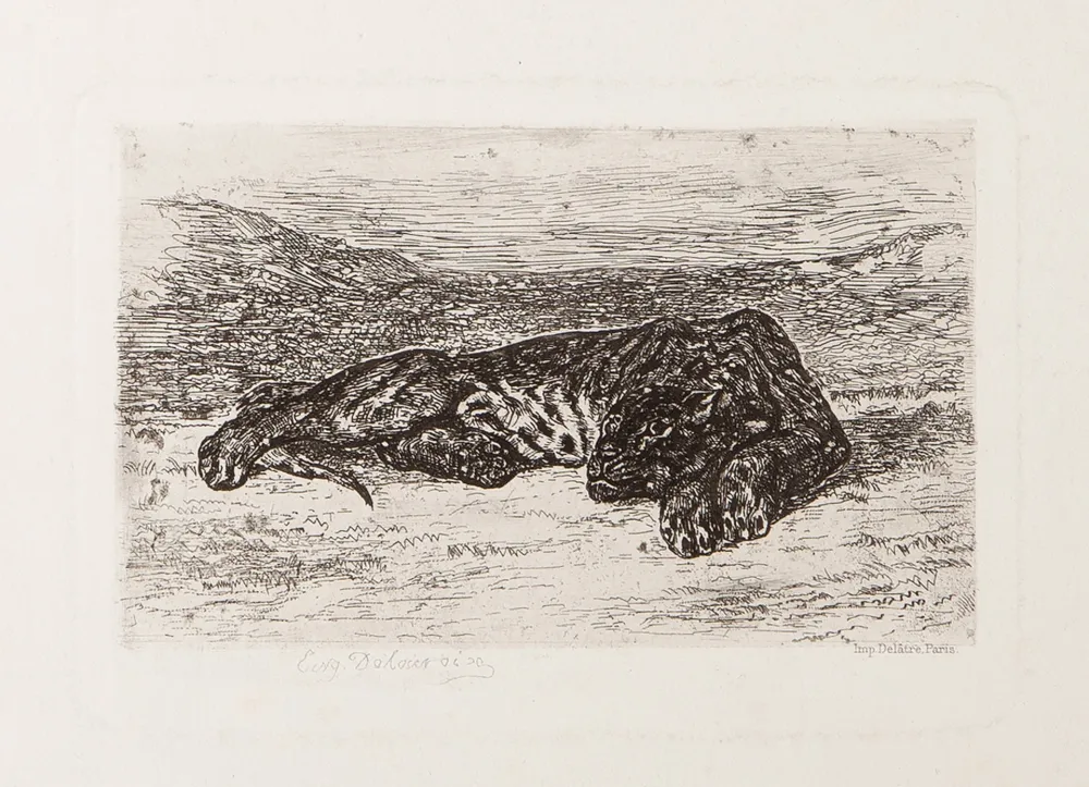 版画 Delacroix - Tiger Sleeping in the Desert