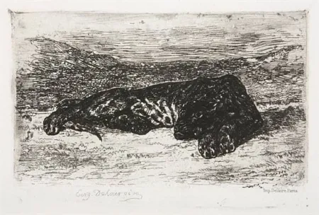版画 Delacroix - Tigre couché dans le désert