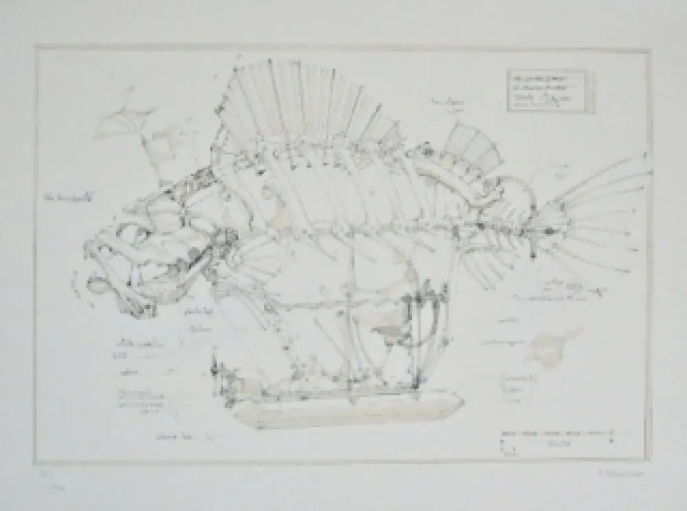 石版画 Delarozière - Le Poisson Pirate