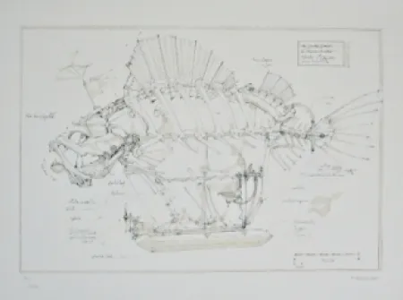 石版画 Delarozière - Le Poisson Pirate