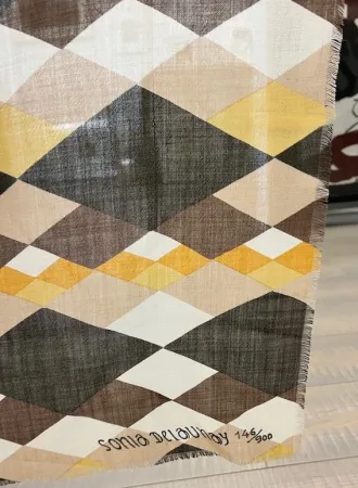 无技术 Delaunay - Sin titulo