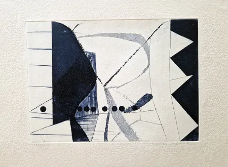 飞尘腐蚀法 Della Torre - Elfi