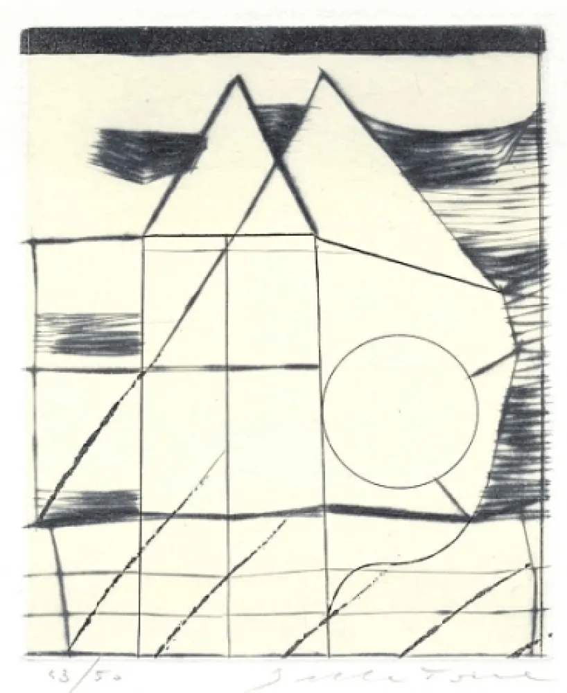 插图书 Della Torre - Immagini riflesse