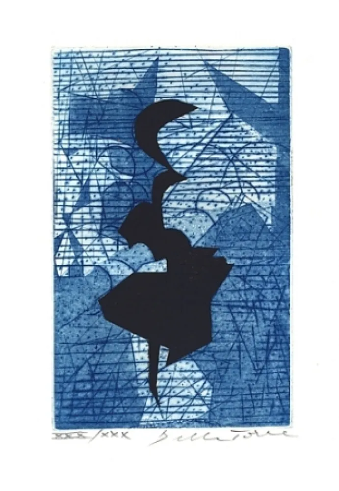 插图书 Della Torre - Sui bordi dell'impossibile