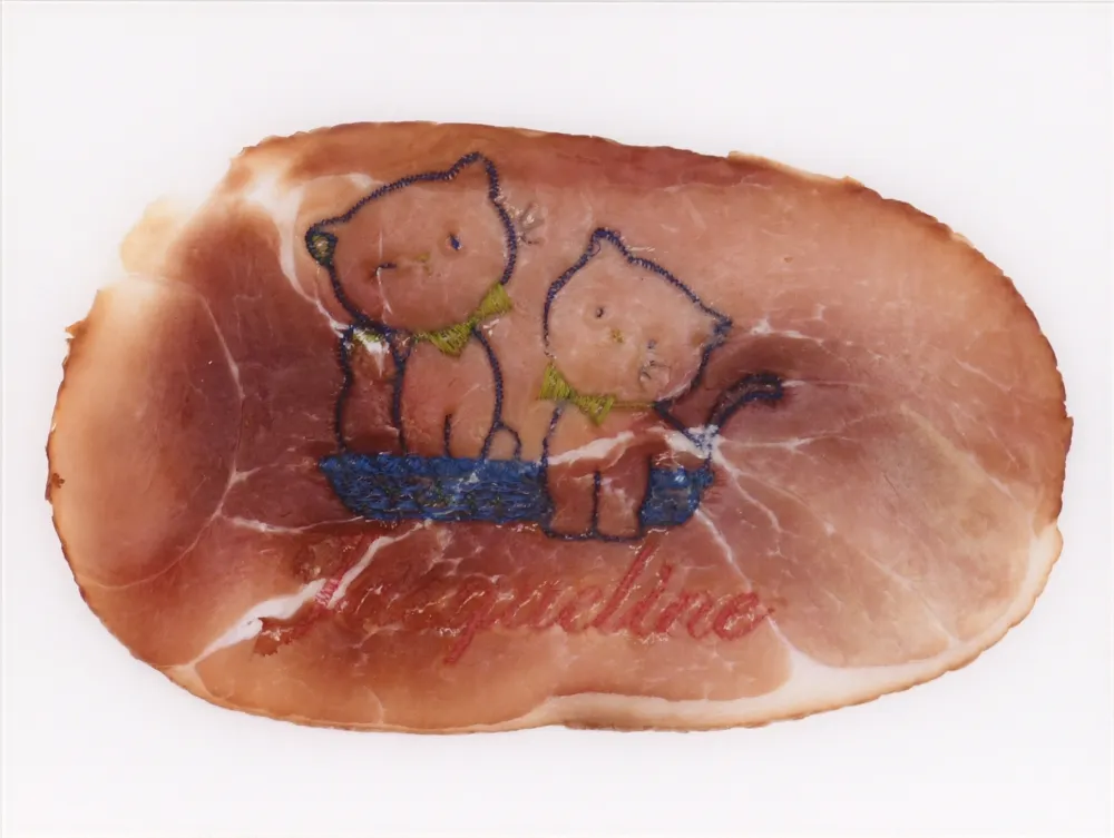 摄影 Delvoye - Untitled 02 (Photograph of Embroidered Ham) (