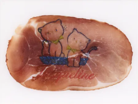 摄影 Delvoye - Untitled 02 (Photograph of Embroidered Ham) (