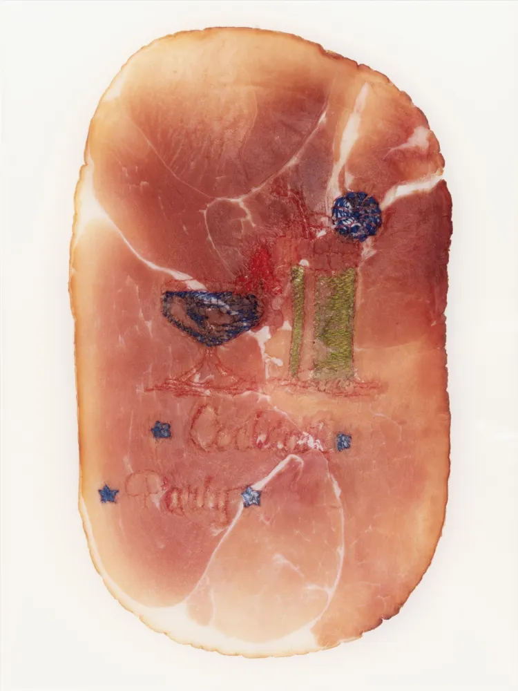 摄影 Delvoye - Untitled (Photograph of Embroidered Ham)