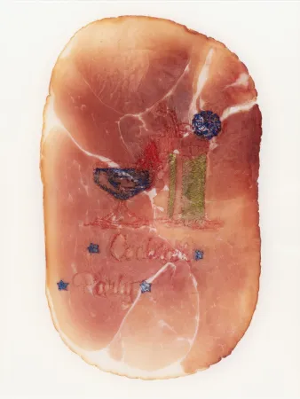摄影 Delvoye - Untitled (Photograph of Embroidered Ham)