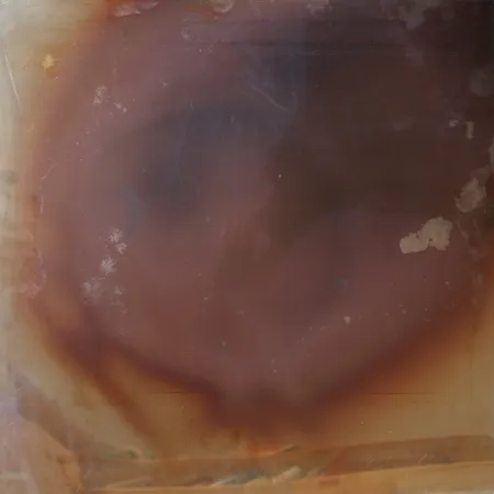 无技术 Deschamps -  Les Nouveaux Realistes