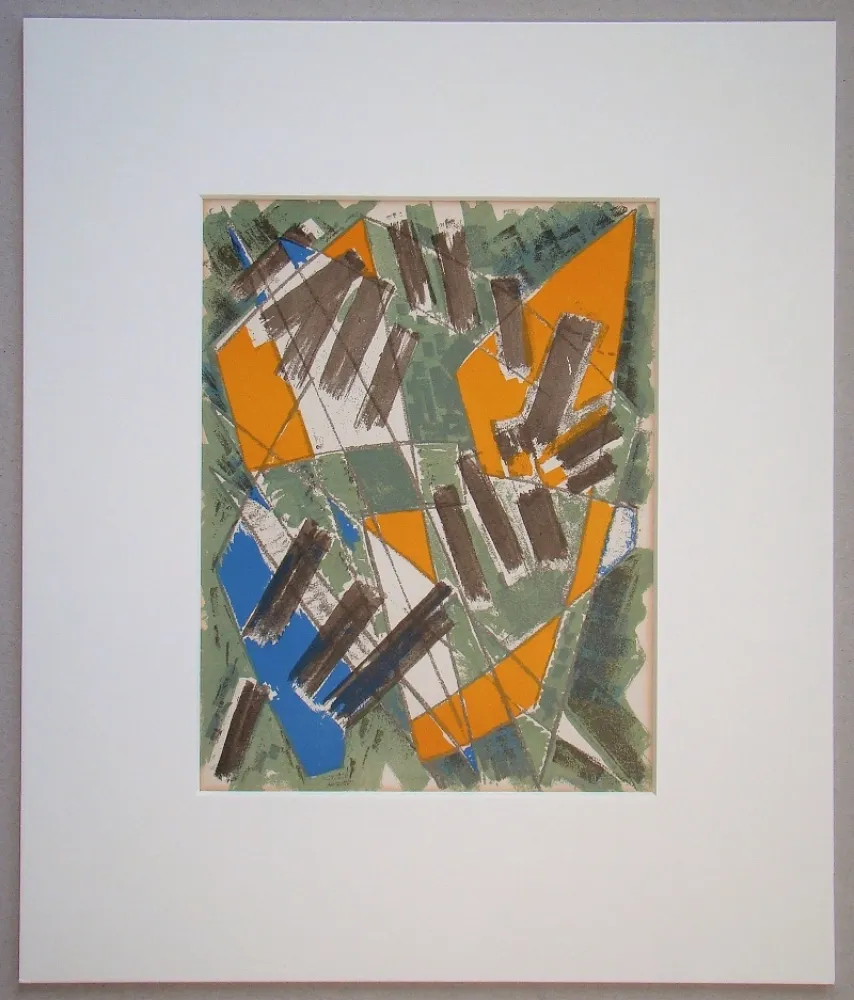 石版画 Deyrolle - Gildo