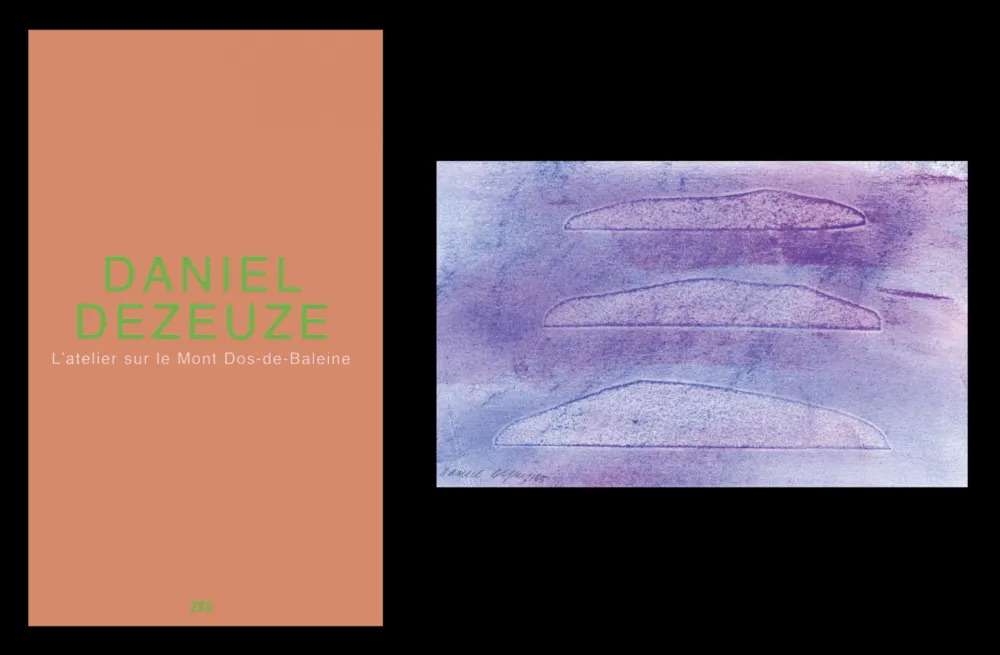 插图书 Dezeuze - L'art en écrit 