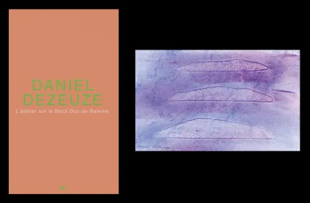 插图书 Dezeuze - L'art en écrit 