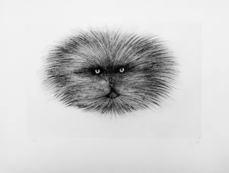 干刻版画 D'ho - Chat gris