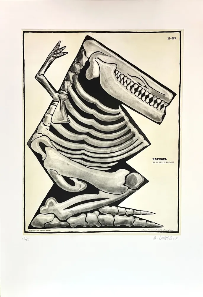 版画 Di Rosa - Raphaël