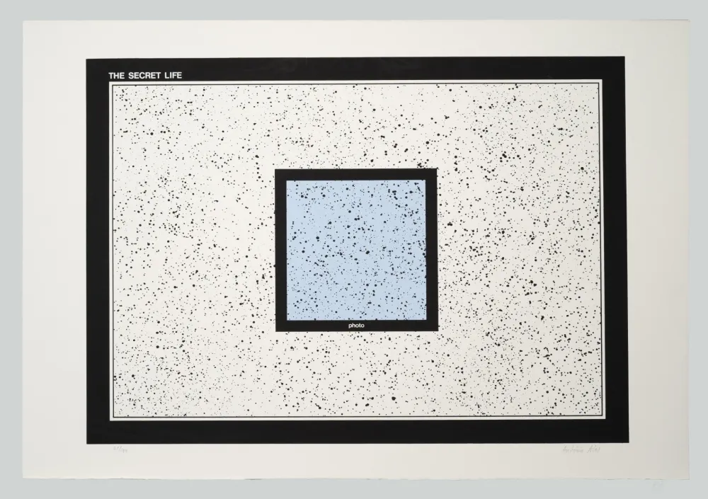 丝网印刷 Dias - The secret life