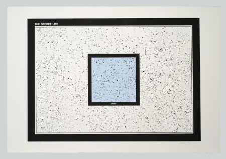 丝网印刷 Dias - The secret life