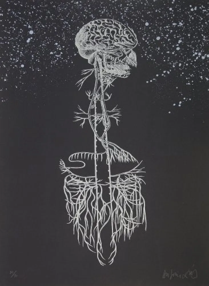 石版画 Diaz - Navegador