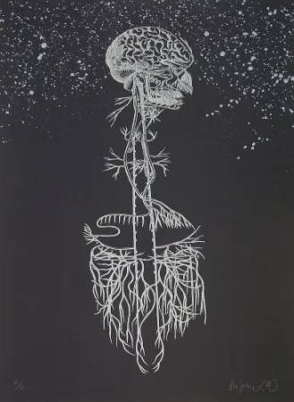 石版画 Diaz - Navegador