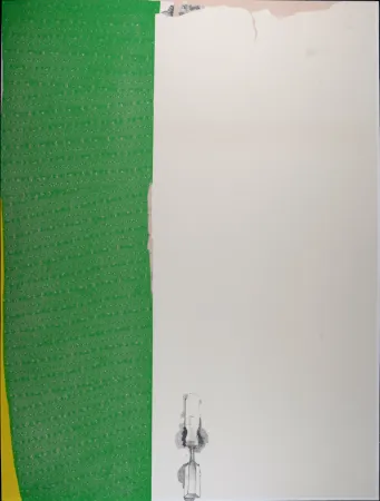 丝网印刷 Dine - Calico