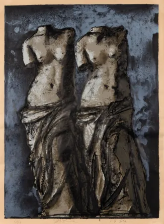 复数作品 Dine - Double Venus in sky at night