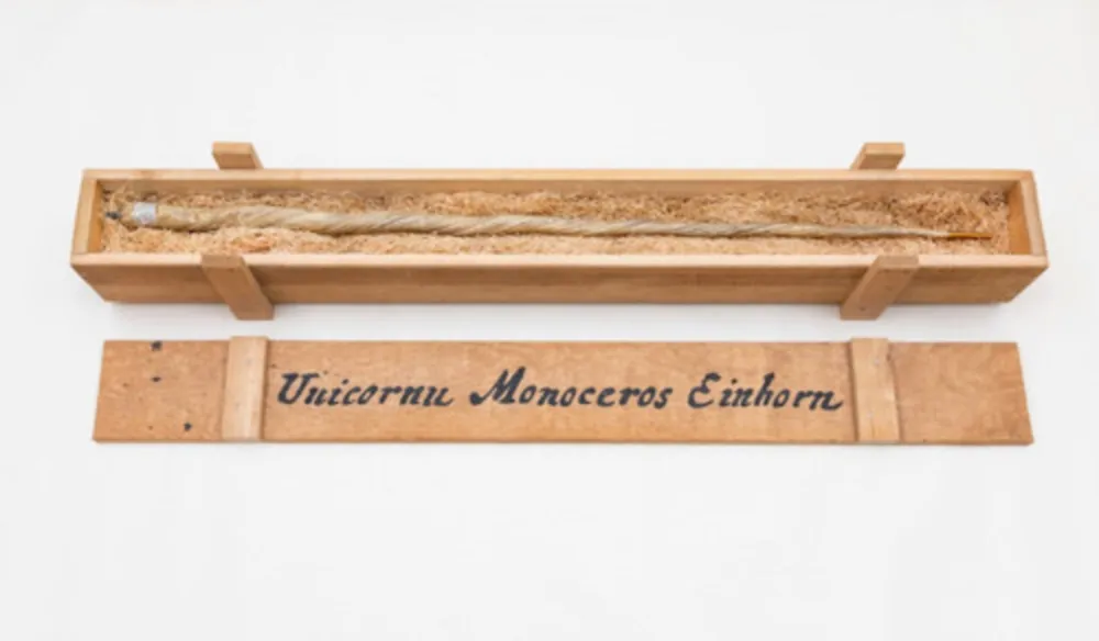 复数作品 Dion - My Most Priceless Treasure (unicorn)