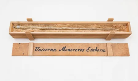 复数作品 Dion - My Most Priceless Treasure (unicorn)