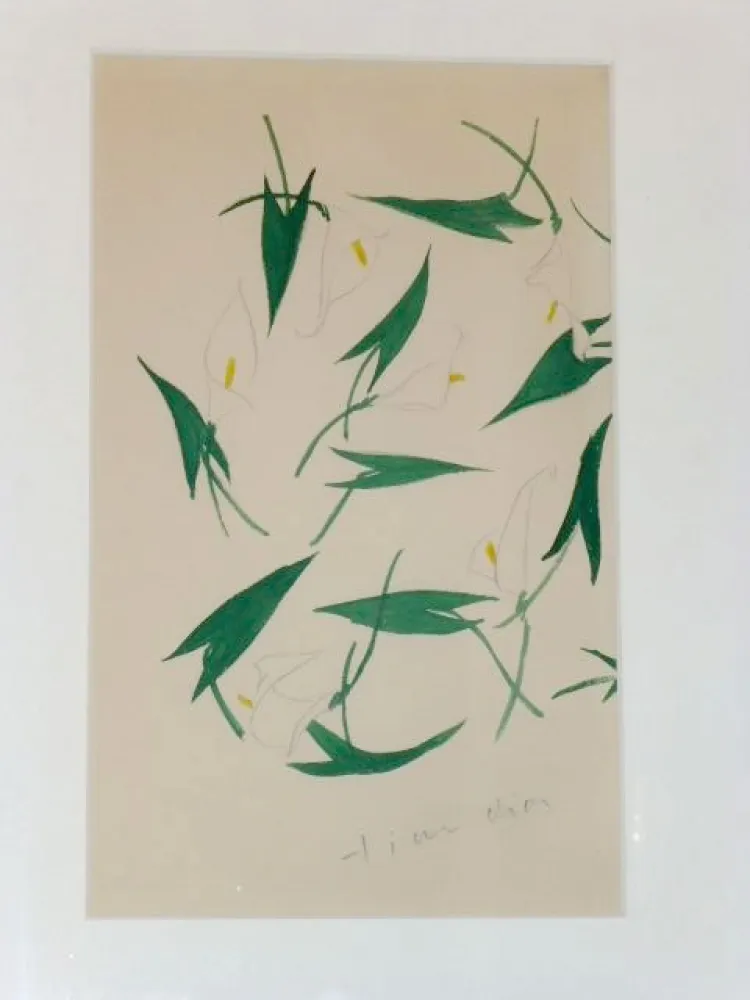 无技术 Dior - Les arums