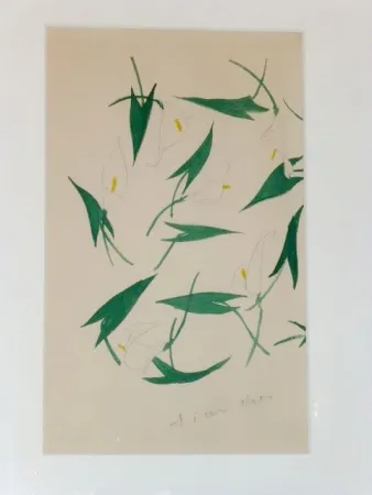 无技术 Dior - Les arums