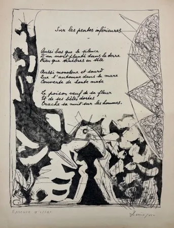 蚀刻飞尘法 Dominguez - Sur les penles inférieures