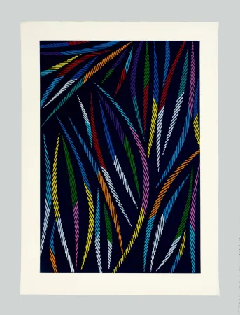 丝网印刷 Dorazio - Blue