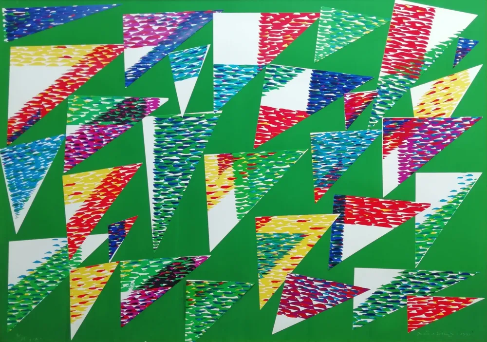 复数作品 Dorazio - Collage di Triangoli