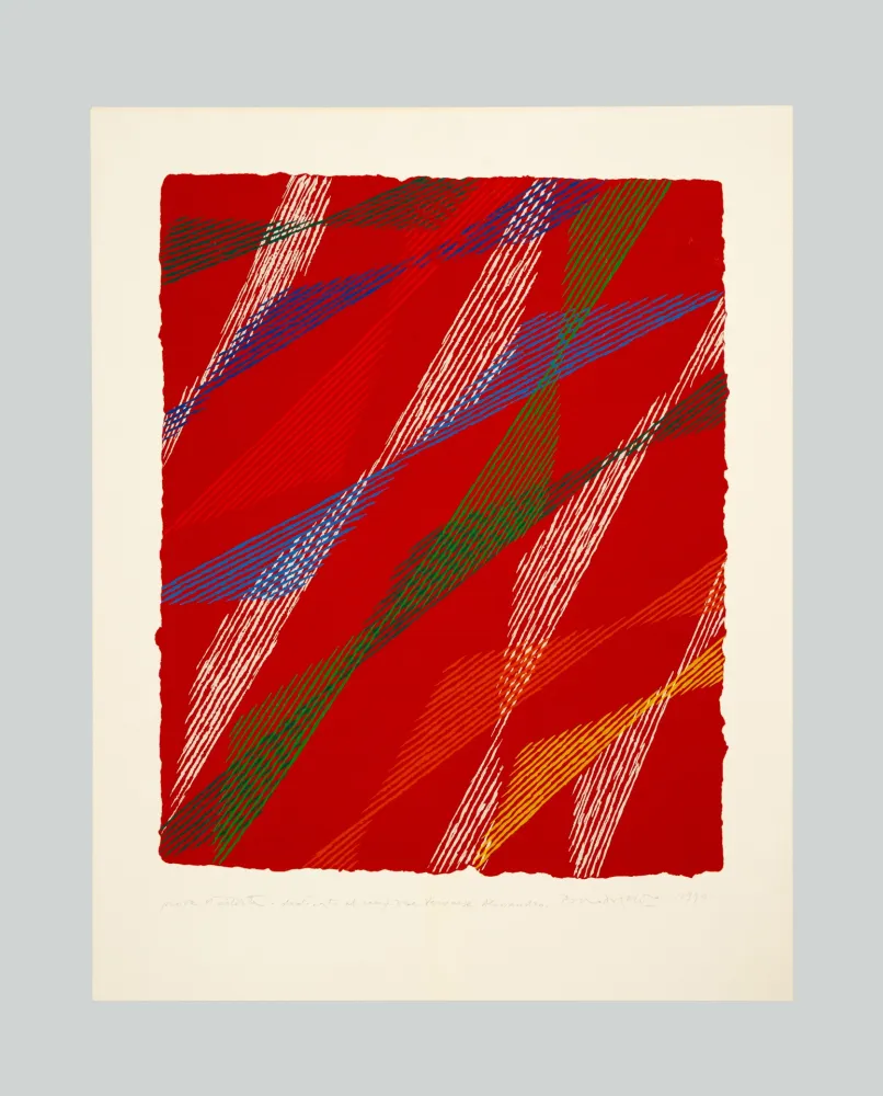 丝网印刷 Dorazio - Composizione