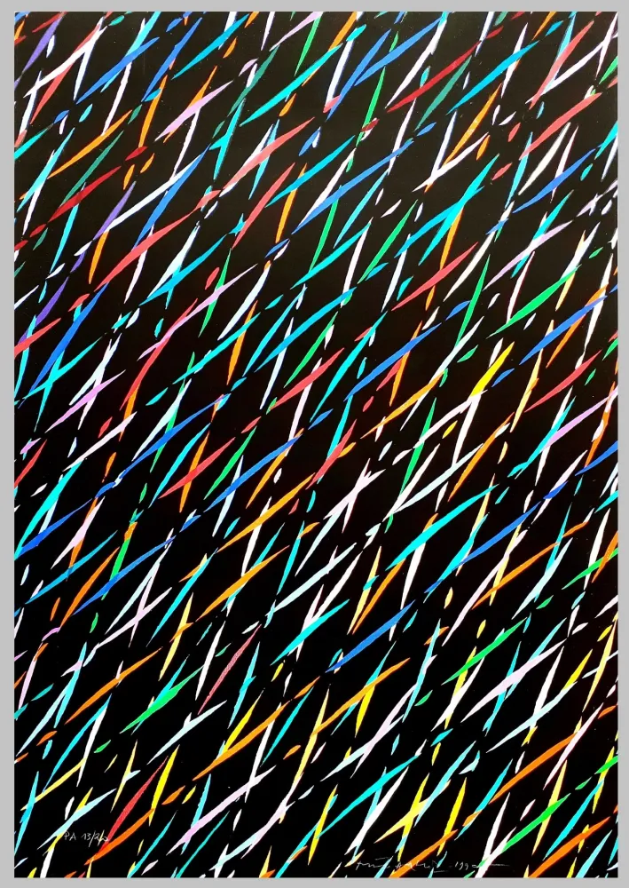 丝网印刷 Dorazio - Composizione